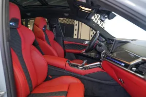 2024 BMW X6