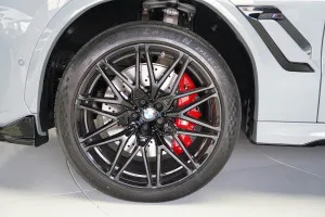 2024 BMW X6