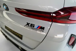 2024 BMW X6