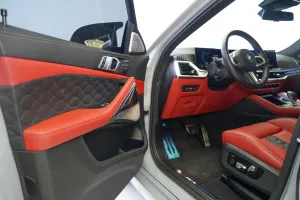 2024 BMW X6