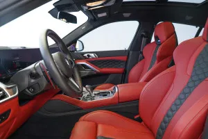 2024 BMW X6