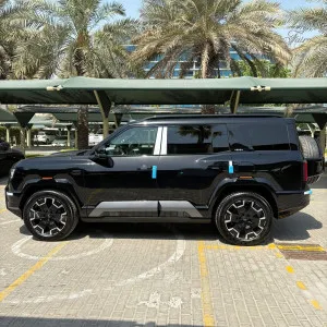 2025 بي واي دي ليوبارد in dubai
