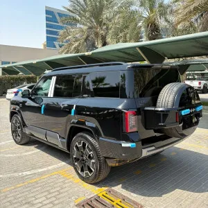 2025 بي واي دي ليوبارد