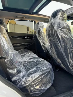 2018 Kia Sorento