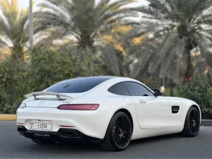 2015 Mercedes-Benz GTS