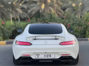 2015 Mercedes-Benz GTS