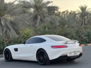 2015 Mercedes-Benz GTS