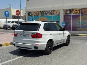 2010 BMW X5