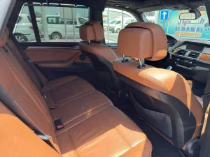 2010 BMW X5