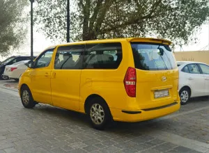 2010 Hyundai H1