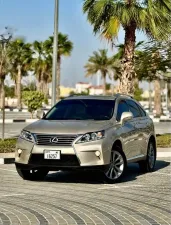 2014 Lexus RX