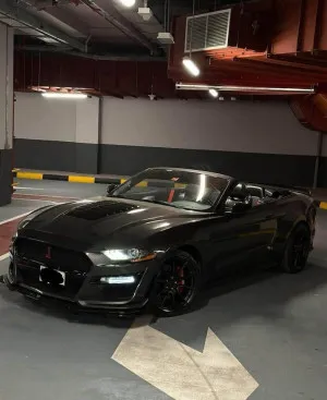 2019 Ford Mustang in dubai