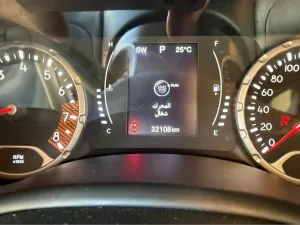 2021 Jeep Renegade