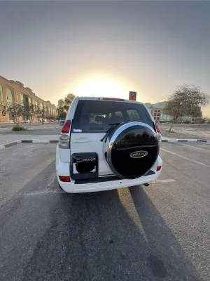 2008 Toyota Prado