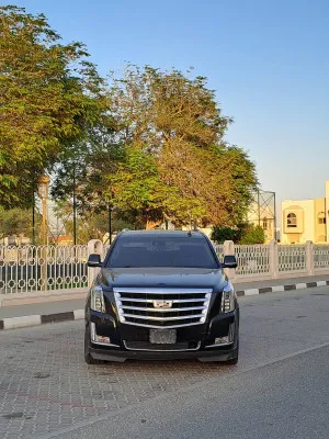 2017 كاديلاك اسكاليد