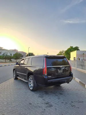 2017 كاديلاك اسكاليد