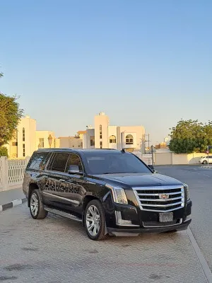 2017 كاديلاك اسكاليد