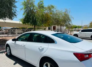 2019 Chevrolet Malibu