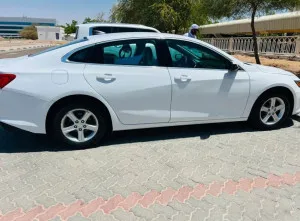 2019 Chevrolet Malibu