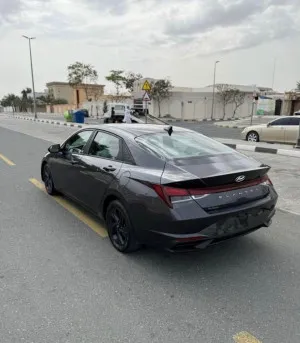 2022 هيونداي النترا