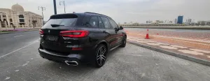 2019 بي أم دابليو اكس - 5