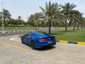 2020 Ford Mustang