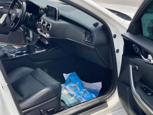 2018 Kia Stinger