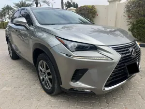 2019 Lexus NX in dubai