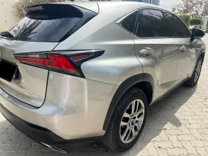 2019 Lexus NX