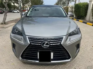 2019 Lexus NX