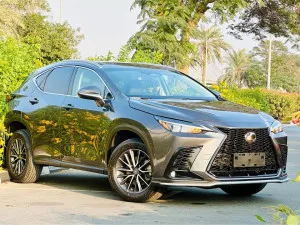 2022 لكزس NX - ان اكس