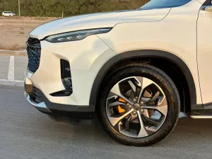 2023 Maxus D60