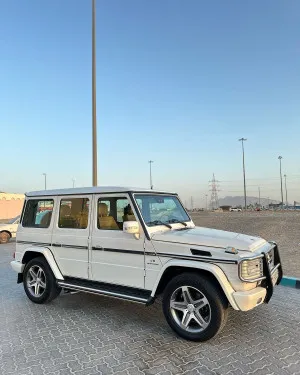 2012 Mercedes-Benz G-Class