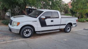 2010 Ford F150