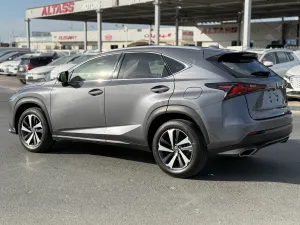2021 Lexus NX