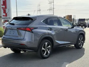 2021 Lexus NX