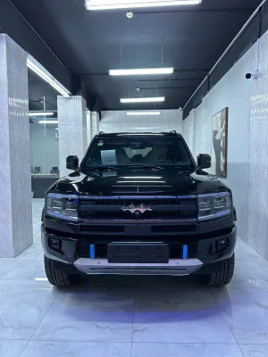 2025 بي واي دي ليوبارد in dubai