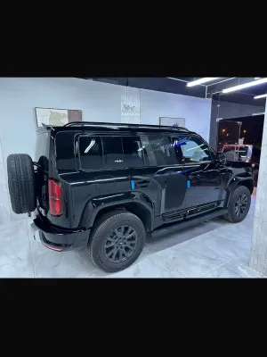 2025 بي واي دي ليوبارد