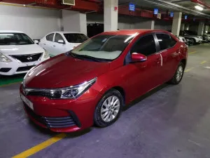 2019 Toyota Corolla