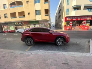 2016 Lexus NX