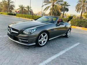 2014 Mercedes-Benz SLK