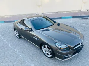 2014 Mercedes-Benz SLK