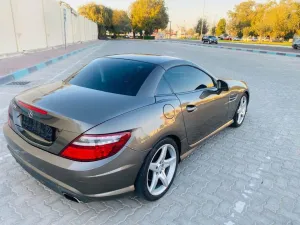 2014 Mercedes-Benz SLK