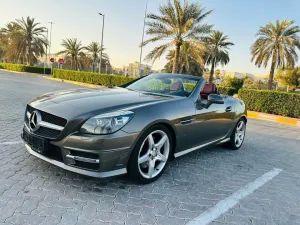 2014 Mercedes-Benz SLK