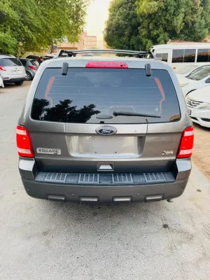 2013 فورد اسكايب