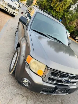 2013 فورد اسكايب