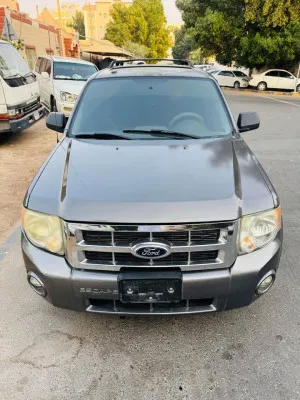 2013 فورد اسكايب