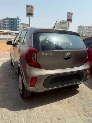 2020 Kia Picanto