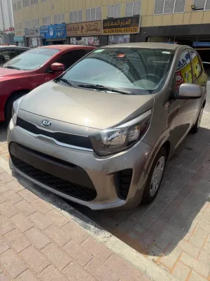 2020 Kia Picanto