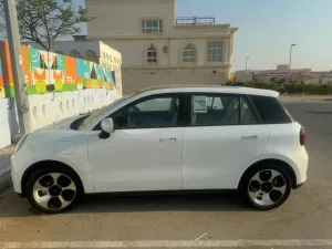 2025 JAC E30X in dubai
